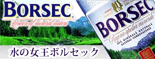 BORSEC ボルセック