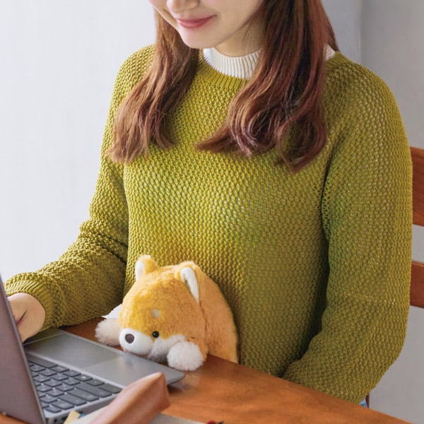 �դ�Ф뤺 (�쥮��顼������)