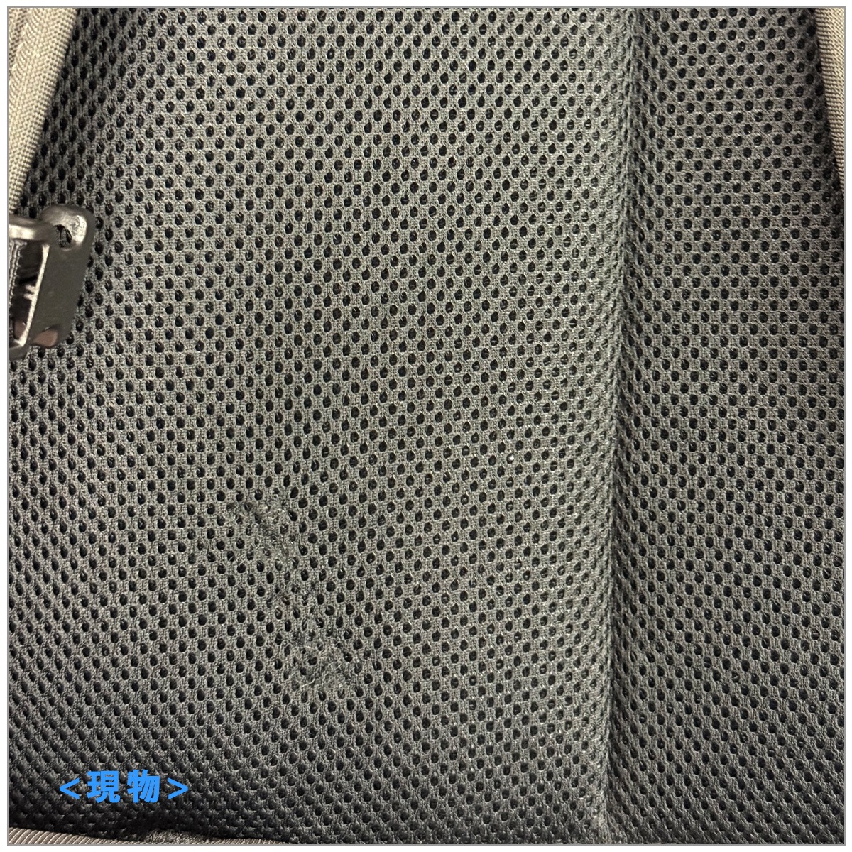 Ÿ���ʡ������ȥ�å����� Henty Wingman Backpack 2 CPT (Refurbished)