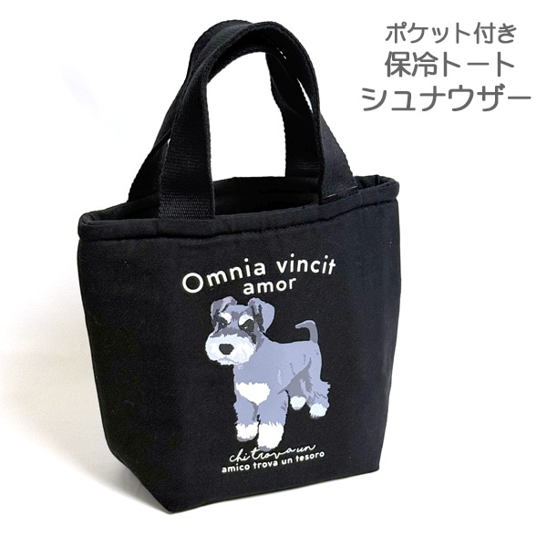 �ݥ��å��դ�����ȡ��� ����ʥ�����