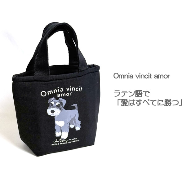 �ݥ��å��դ�����ȡ��� ����ʥ�����