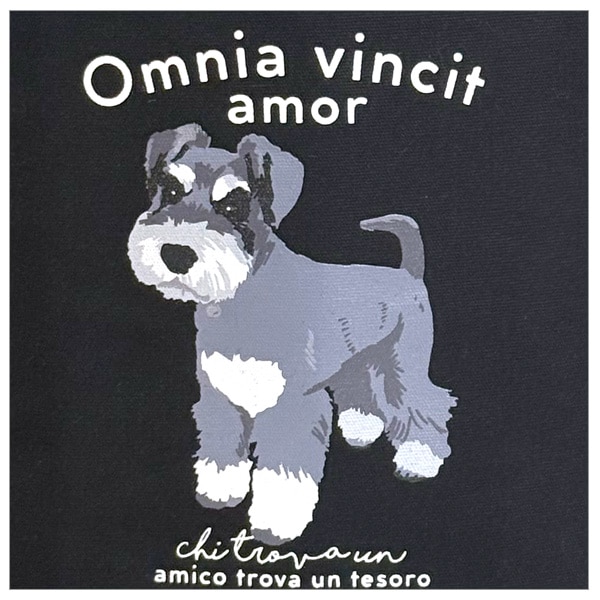 �ݥ��å��դ�����ȡ��� ����ʥ�����