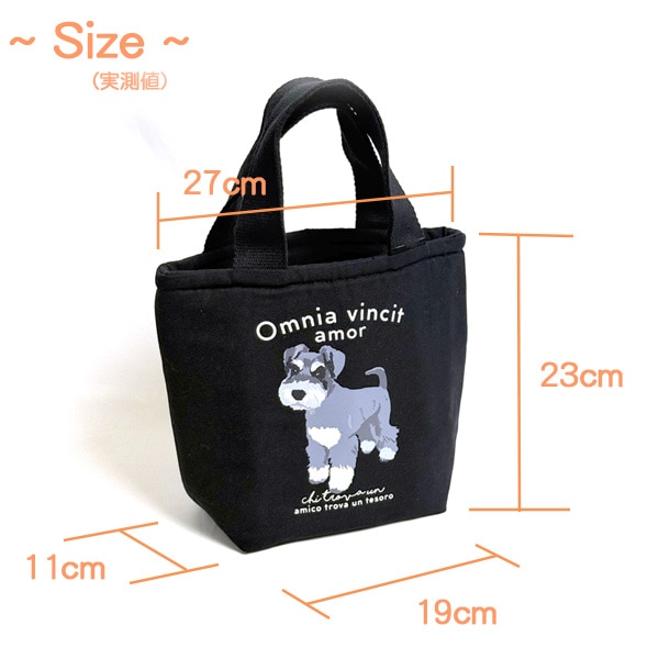 �ݥ��å��դ�����ȡ��� ����ʥ�����