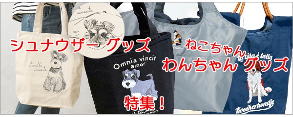 ����ʥ����� ���å���������󥰥å�