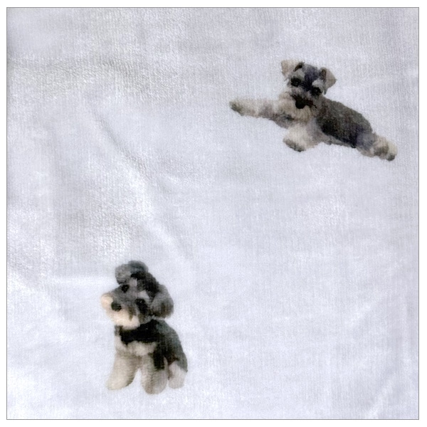 ������եץ���3way�Ҥ��ݤ� ����ʥ�����