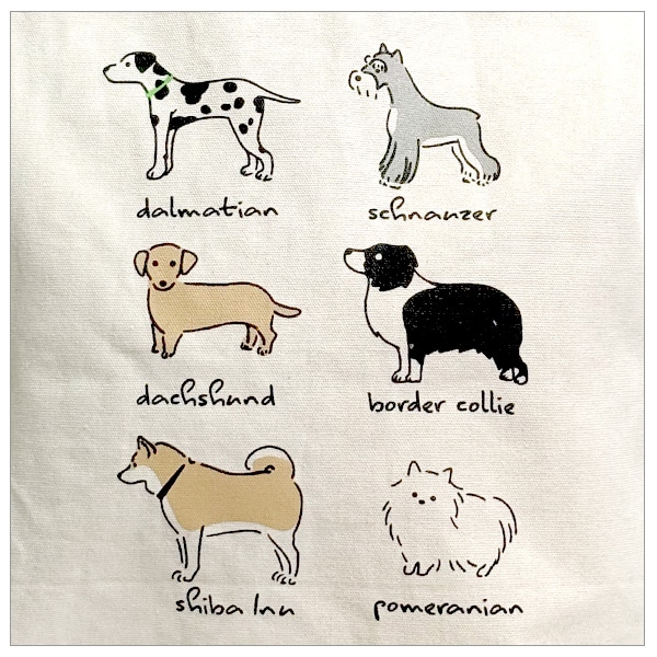 ����ե��å��ȡ��ȥХå� ���̥�����