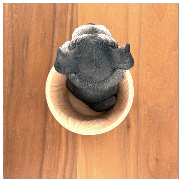 WOOBIA ����ʥ����� �ڥ�Ω�� H23238 