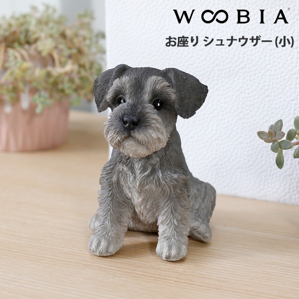 WOOBIA ���¤� ����ʥ����� (��)  H16259 