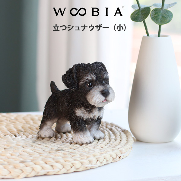 WOOBIA Ω�ĥ���ʥ����� �ʾ���