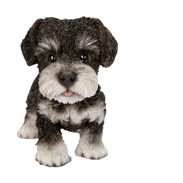 WOOBIA Ω�ĥ���ʥ����� �ʾ���