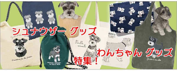 ����ʥ����� ���å���������󥰥å�