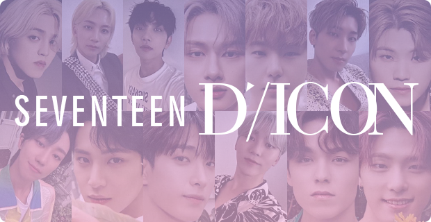 SEVENTEEN DICON PHOTOCARD CUSTOM BOOK