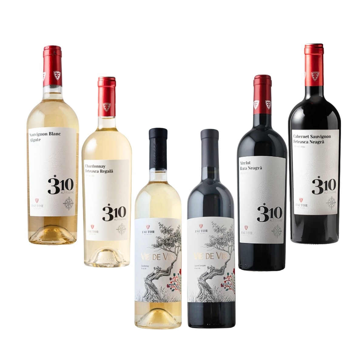 【9周年】デイリー6本セット