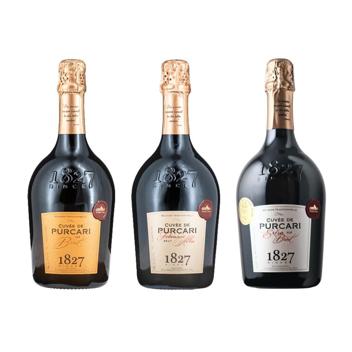 【9周年】泡3本セット