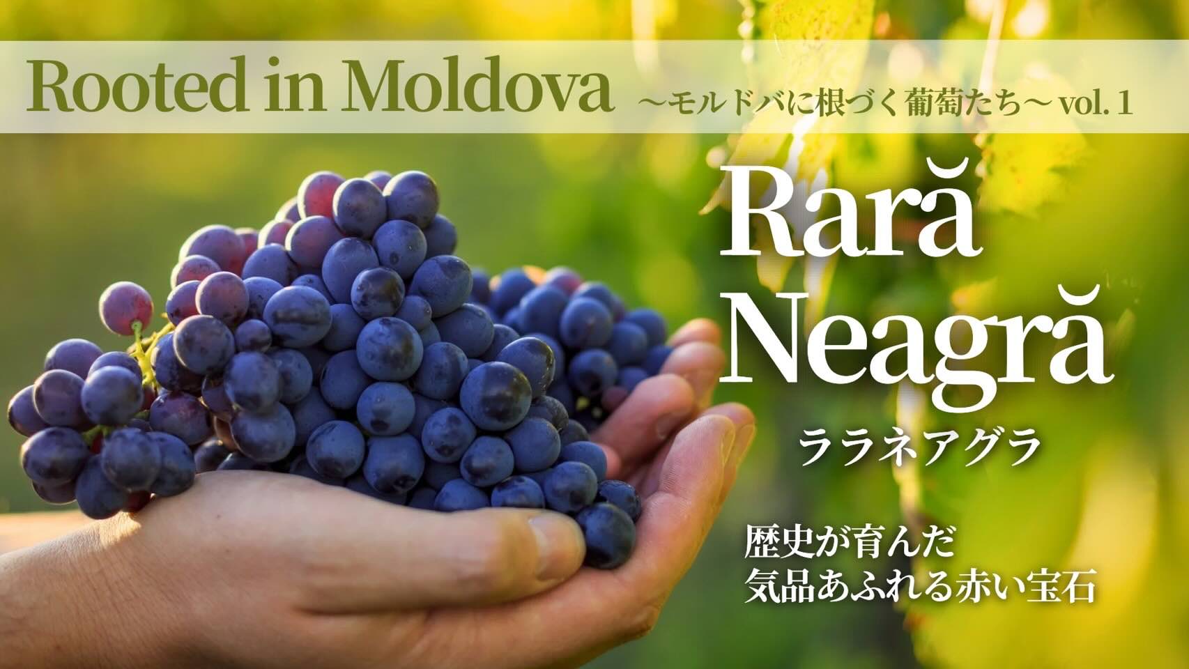 ララネアグラ特集 キービジュアル