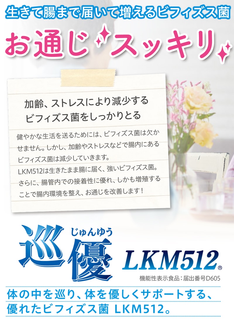 アロン化成 巡優 LKM512 1箱 - バランス栄養、栄養調整食品