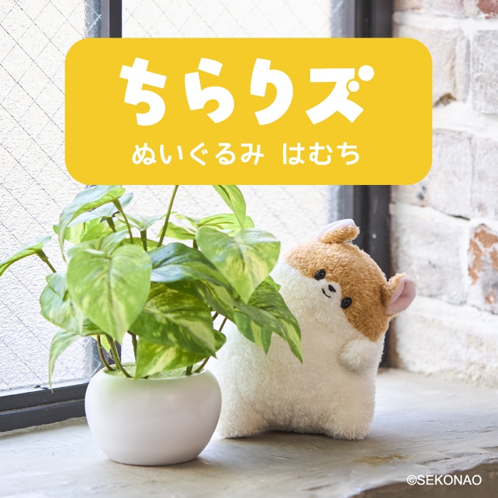 ����ꥺ �̤������ �Ϥ��