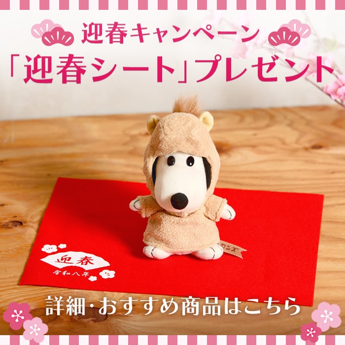 【海苔さん専用 】Monchhichi モンチッチ プレミアムスタンダード２Ｌ プレミアムスタンダード モンチッチ 2L ブラウン | モンチッチ