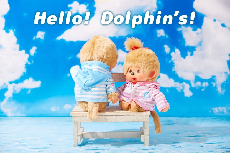 Hello! Dolphins!
