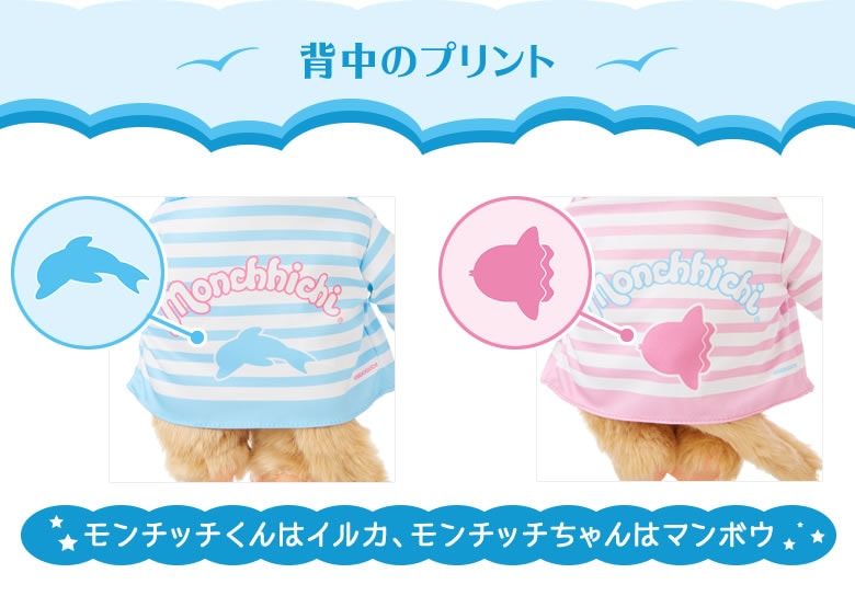 7月26日(金)昼12：00予約開始】SFDS限定☆マリンボーダーパーカー