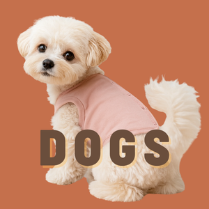 犬服