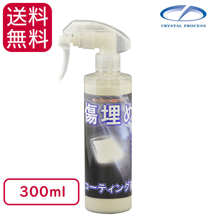 クリスタルプロセス 傷埋めコーティング剤 スプレーガンタイプ 300ml C 通販 現場にいいもの ものいち