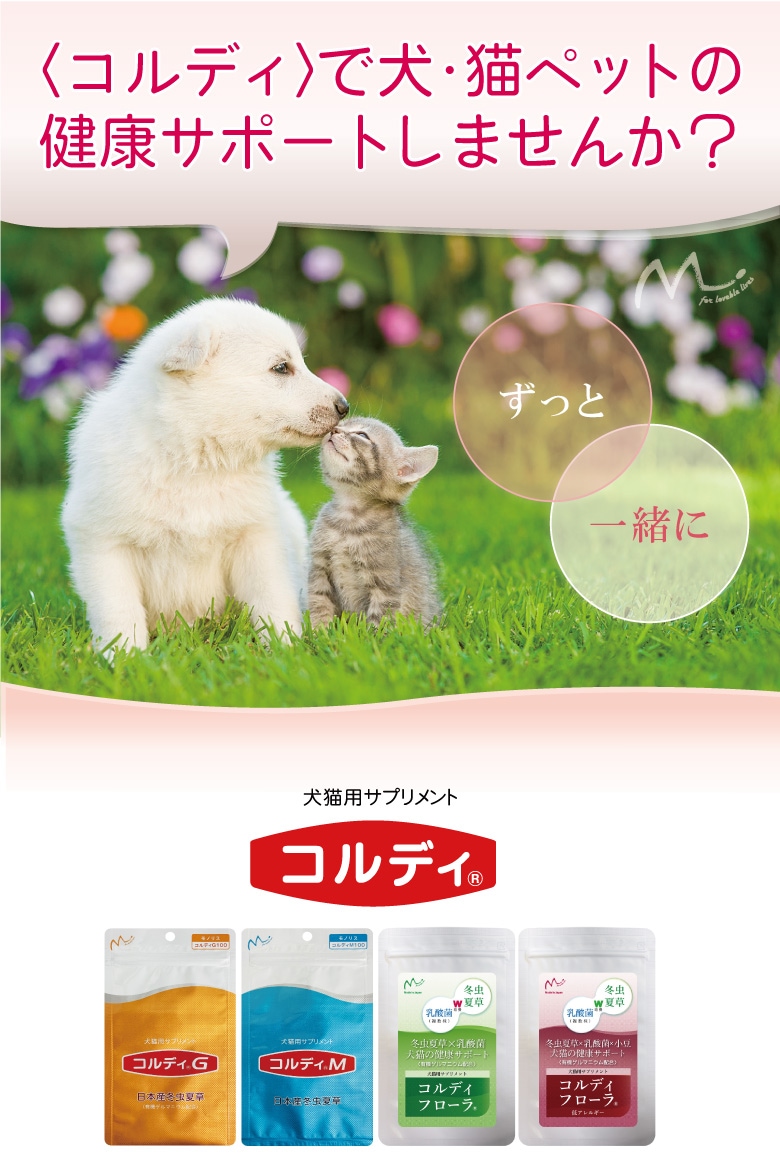 コルディEX 日本産 冬虫夏草 犬猫用サプリメント - ペットフード