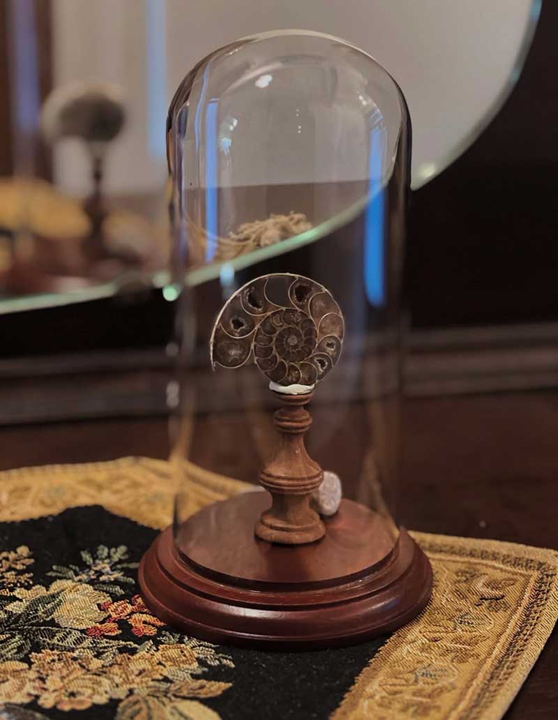 ウッド ガラスドームスタンドL