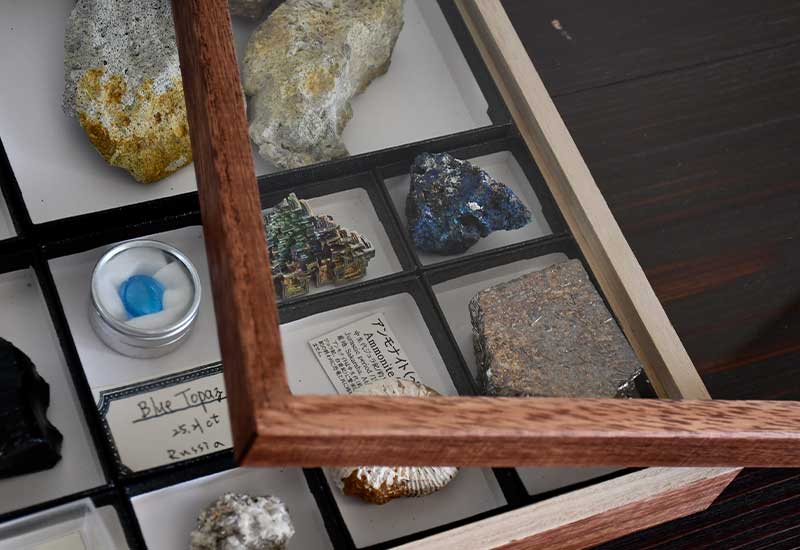 ガラスふた標本箱/大 -ニチカ製 標本小箱-