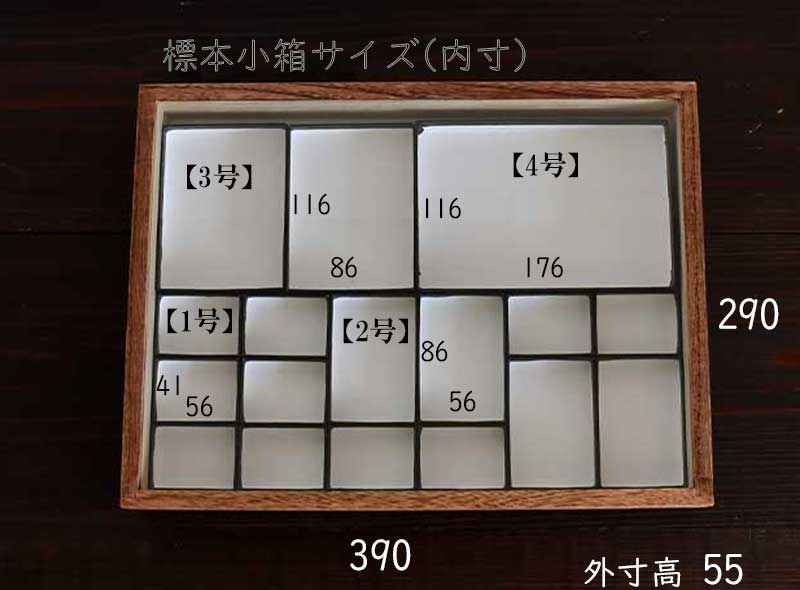 ブータン産アキリデス2ex標本セット 87/91mm入手困難エリア日本人採集標本 フジコン 標本コレクターズケース S 昆虫 標本用品 標本箱 11152 1個