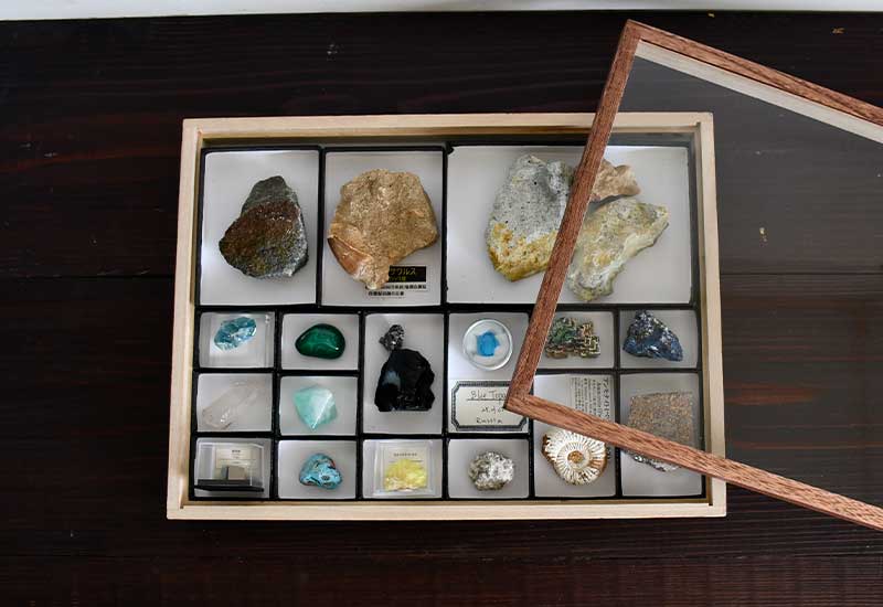 ガラスふた標本箱/大 -ニチカ製 標本小箱-