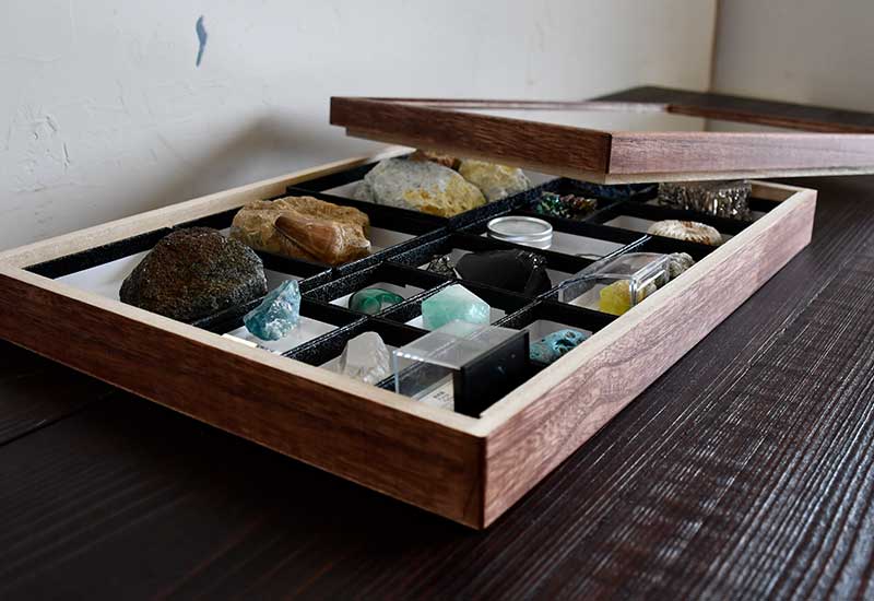 大型標本箱 4箱 T-WOOD | 昆虫標本箱（ドイツ箱）・収納庫専門