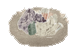 鉱物NEST
