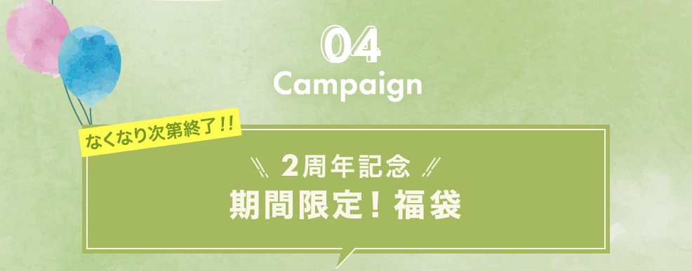 Campaign 04