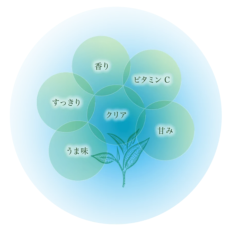 森半の水出し緑茶