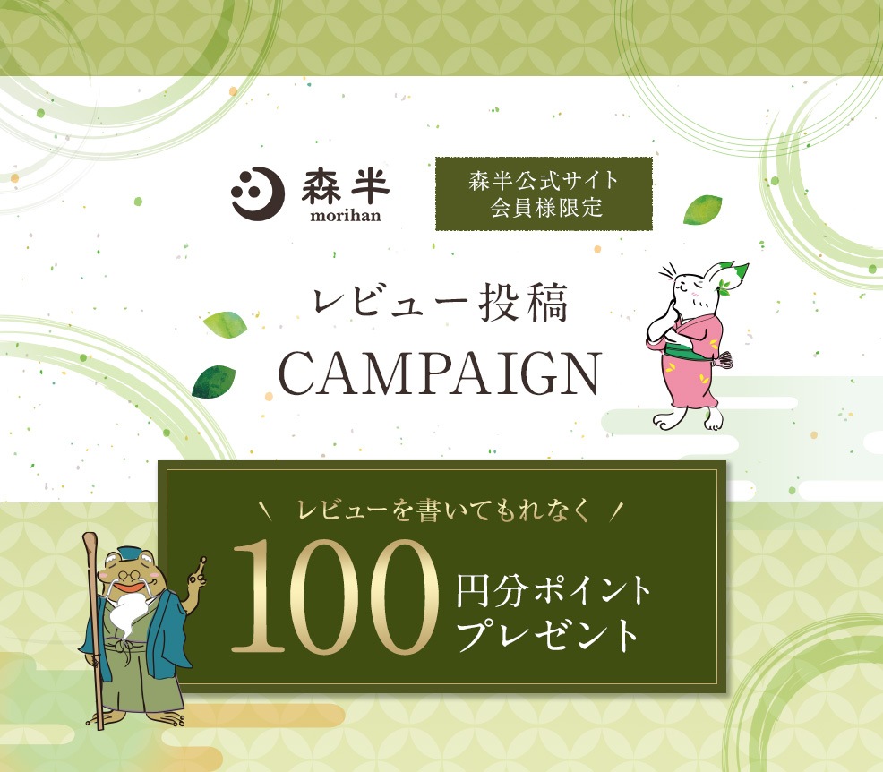 レビュー投稿CAMPAIGN レビューを書いてもれなく100円分ポイントプレゼント