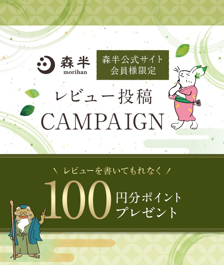 レビュー投稿CAMPAIGN レビューを書いてもれなく100円分ポイントプレゼント