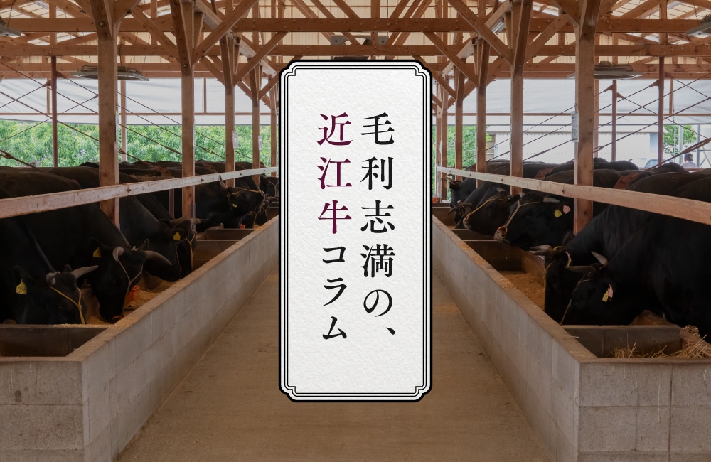 毛利志満（もりしま）の近江牛コラム