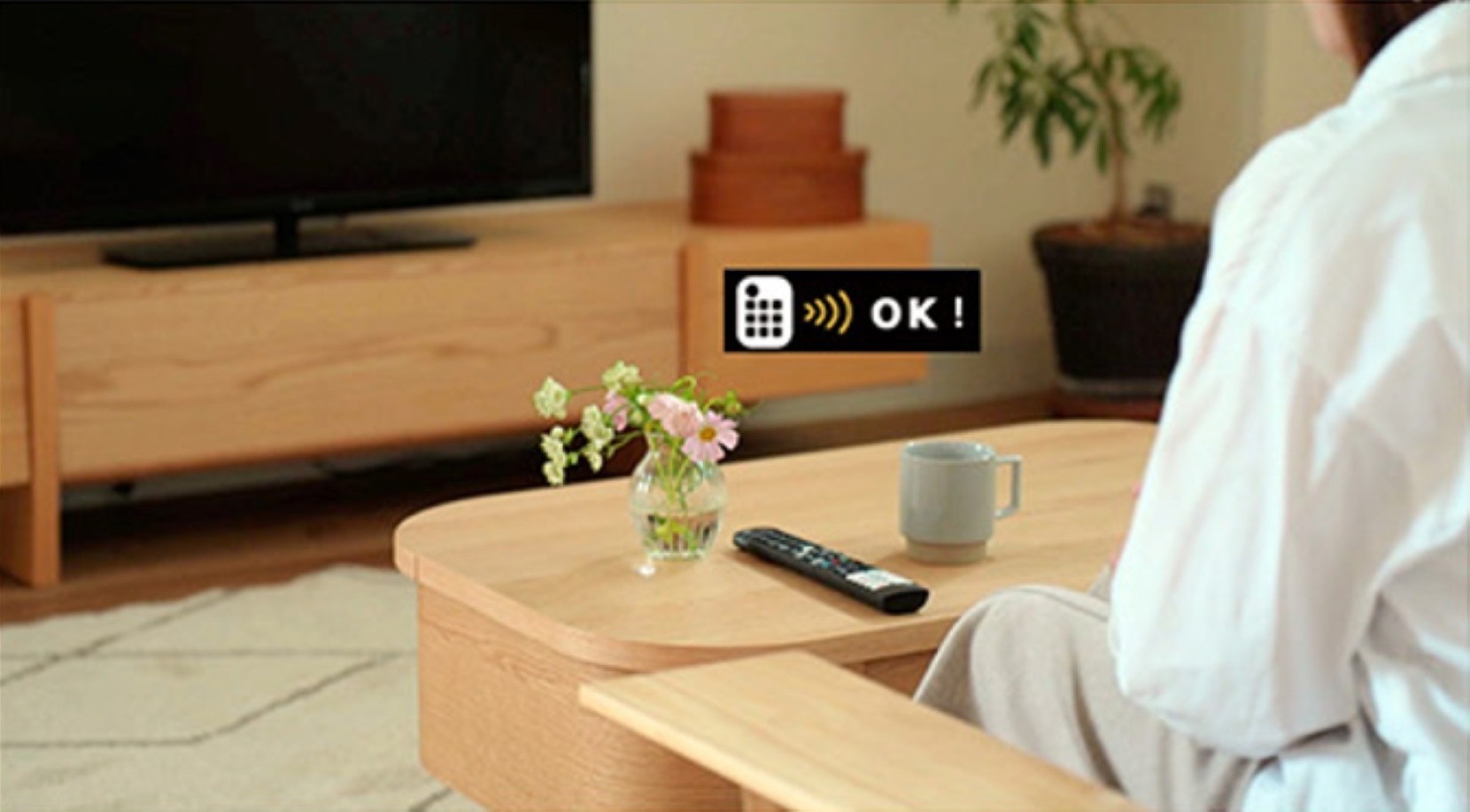 バレーナ TVボード テレビボード テレビ台 ローボード  TV台 ローボード 日本製 国産テレビボード 国産テレビ台 木製 テレビ台 天然木 おしゃれ おしゃれ 北欧 完成品 150 180 200 150cm 180cm 200cm 55インチ  65インチ 75インチ リビング リビング収納