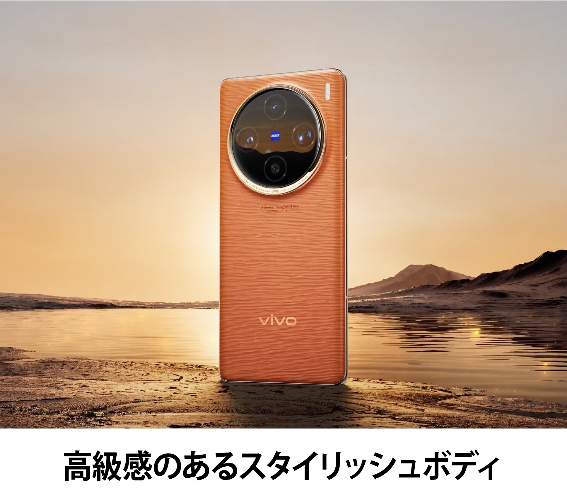 vivo X100 Pro (V2324A)  