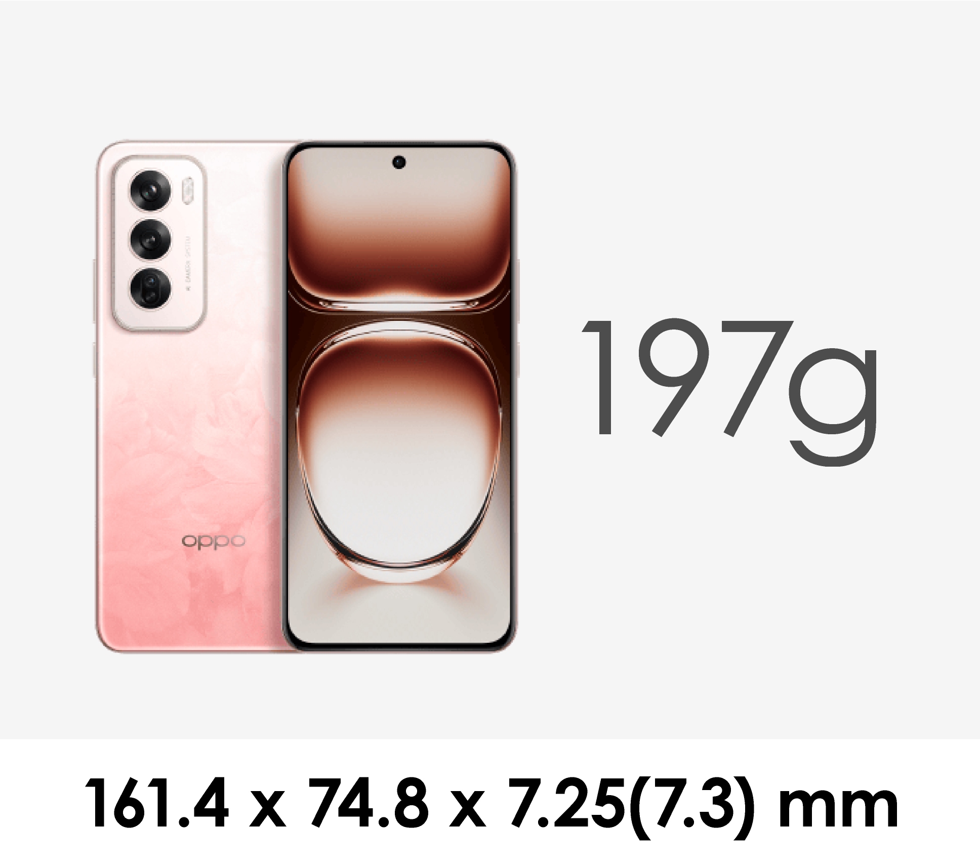 Oppo Reno 12 5G PJV110ǥ