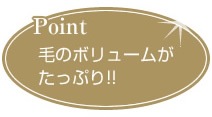 毛のボリュームがたっぷり