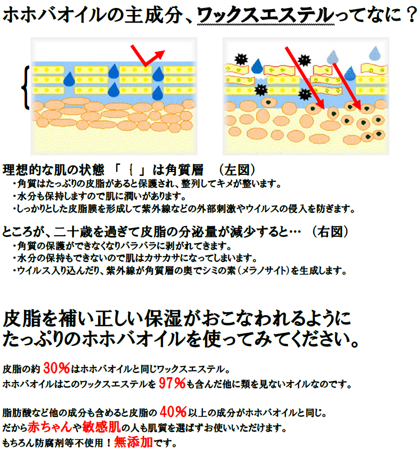 ホホバオイル クリア オーガニック 1,000mL - お取り寄せ通販アイテムポスト ビューティ・コスメ・香水