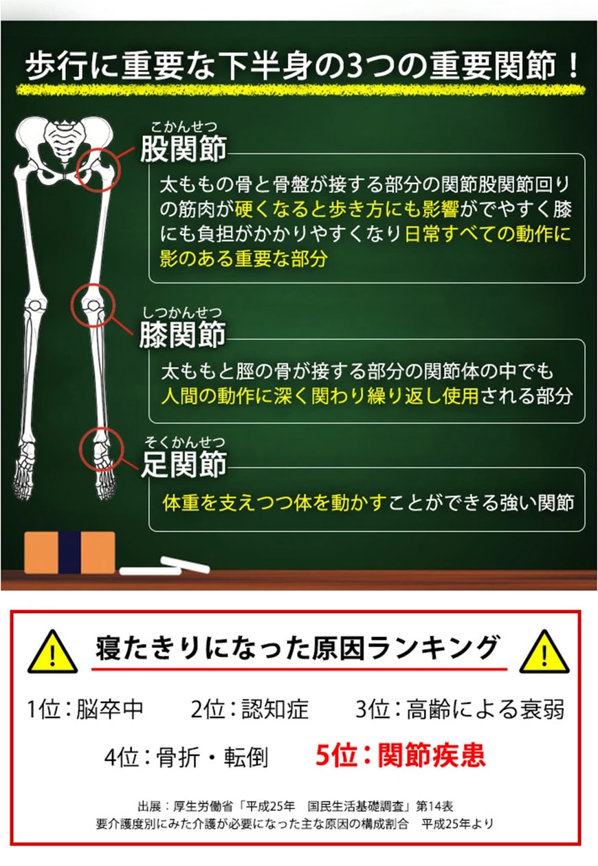 歩行に重要な下半身の3つの重要関節

【股関節（こかんせつ）】
太ももの骨と骨盤が接する部分の関節股関節回りの筋肉が硬くなると歩き方にも影響がでやすく膝にも負担がかかりやすくなり日常すべての動作に影のある重要な部分

【膝関節（しつかんせつ）】
太ももと脛の骨が接する部分の関節体の中でも人間の動作に深く関わり繰り返し使用される部分

【足関節（そくかんせつ）】
体重を支えつつ体を動かすことができる強い関節
	寝たきりになった原因ランキング
	1位:脳卒中　2位:認知症　3位:高齢による衰弱　４位:骨折・転倒　５位：関節疾患