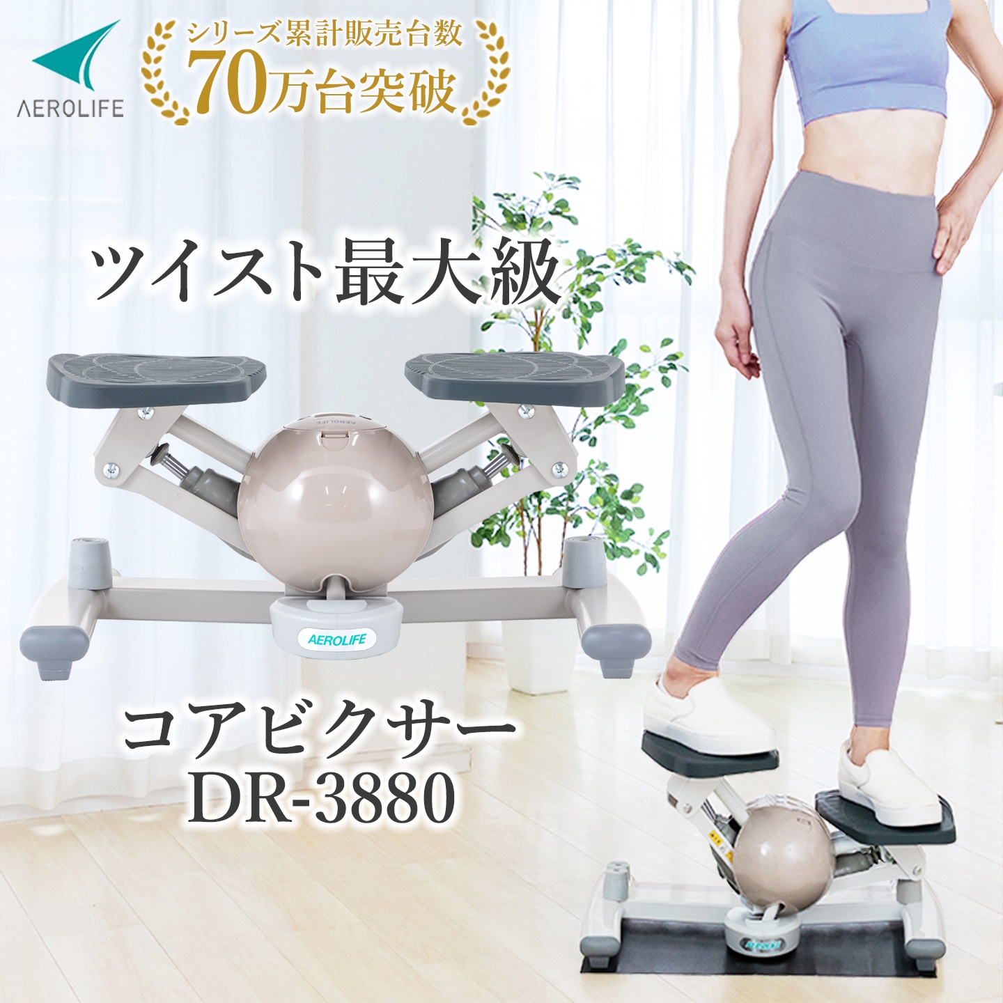 極美品 AEROLIFE コアビクサー ステッパー DR-3880 エアロライフ コアビクサー│DR-3880│エアロライフ公式ショップ