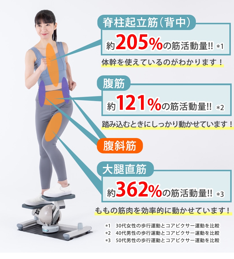 脊柱起立筋、腹筋、大腿直筋の筋活動量