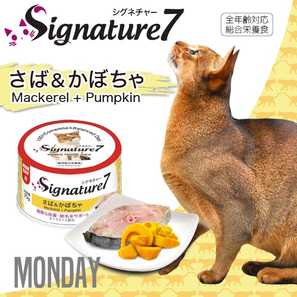 シグネチャー7 さば かぼちゃ ネコ 猫 総合栄養食 グレインフリー グレイビー ペットフードとペット用品通販サイトファンタジーワールド