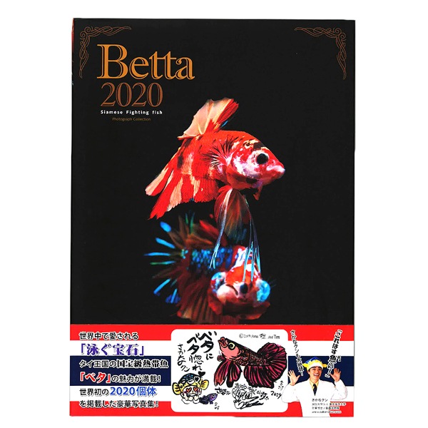 さかなクンがこれはすギョいと大絶賛 豪華 ベタ 写真集 Betta 熱帯魚 ベタ Betta 魚 本 送料無料 ペットフードとペット用品通販サイトファンタジーワールド