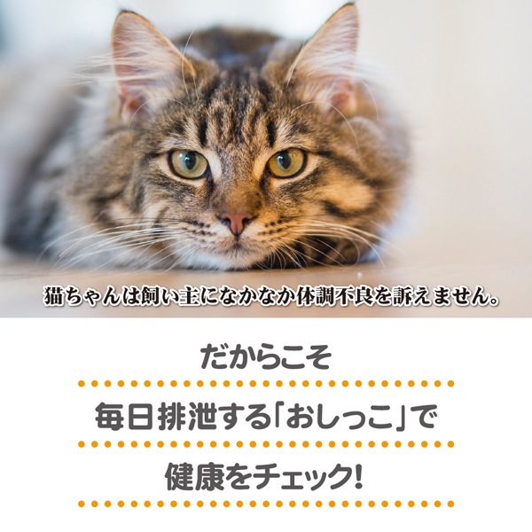 Health Indicator ヘルスインディケーター 0ｇ 猫 トイレ 健康チェック おしっこでｐhチェック いつもの猫砂に加えるだけ 月に１度 愛猫の健康チェック ペットフードとペット用品通販サイトファンタジーワールド