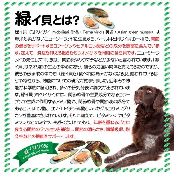 犬 猫用 Nutripe ニュートライプ Glm サプリ 1粒 緑イ貝100 関節 軟骨 皮膚 被毛 サプリメント ペットフードとペット用品通販サイトファンタジーワールド